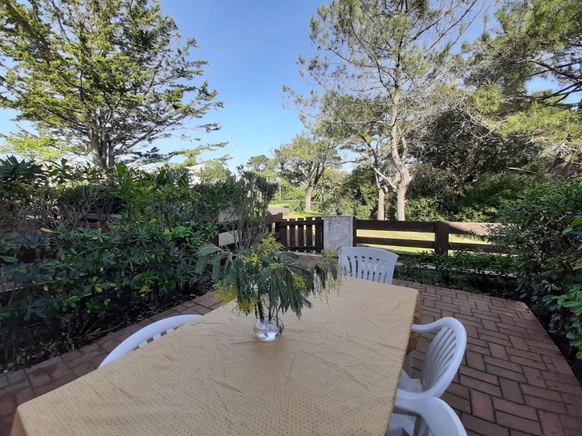 Maison Renovee Avec Terrasse A 700M Des Plages, Marche Et Activites - Tennis Et Piste Cyclable A 10M - Fr-1-239-385 Seignosse Εξωτερικό φωτογραφία